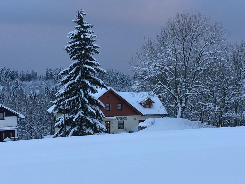 Penzion Zrzka Kořenov Esterno foto