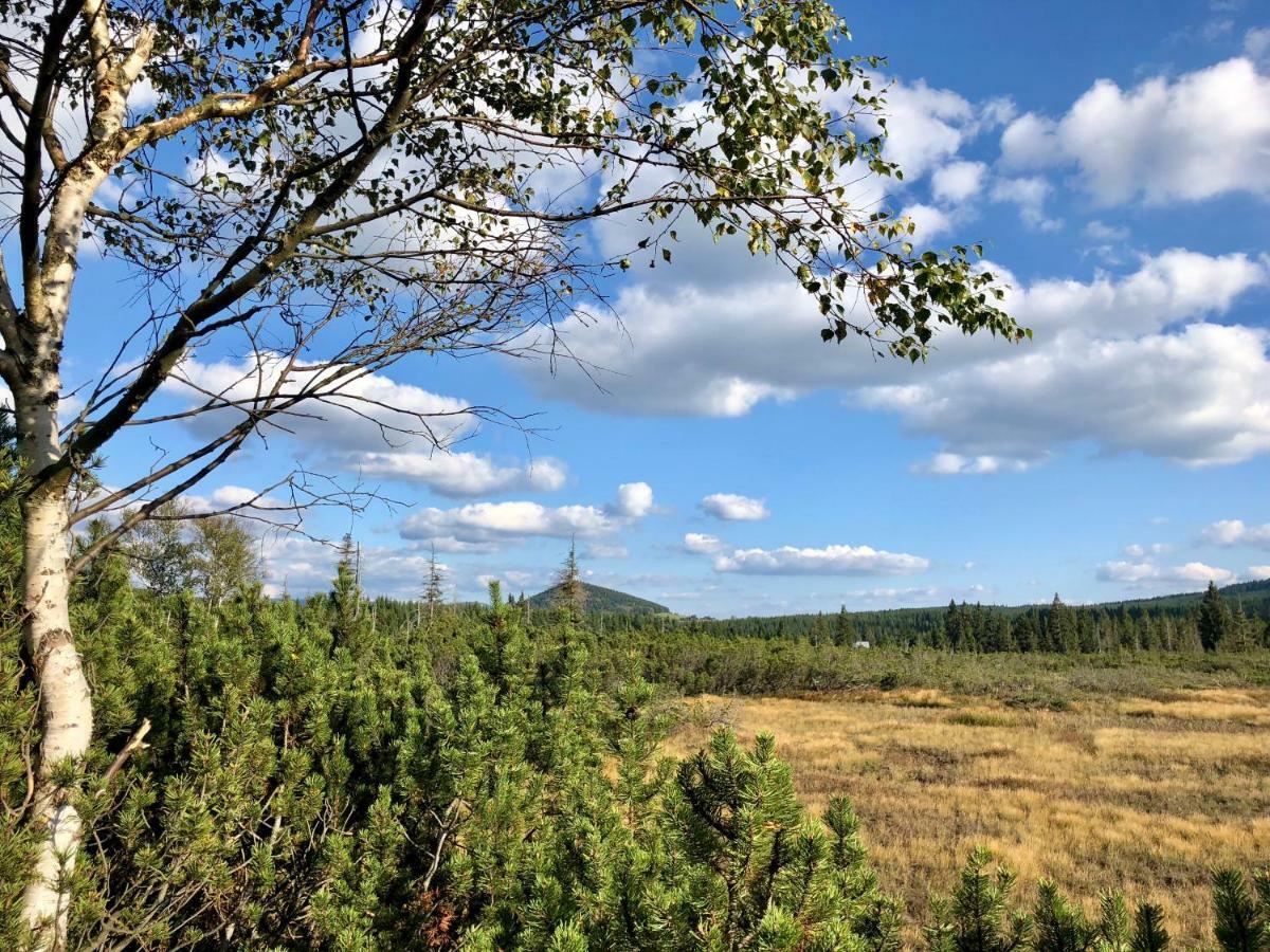 Penzion Zrzka Kořenov Esterno foto