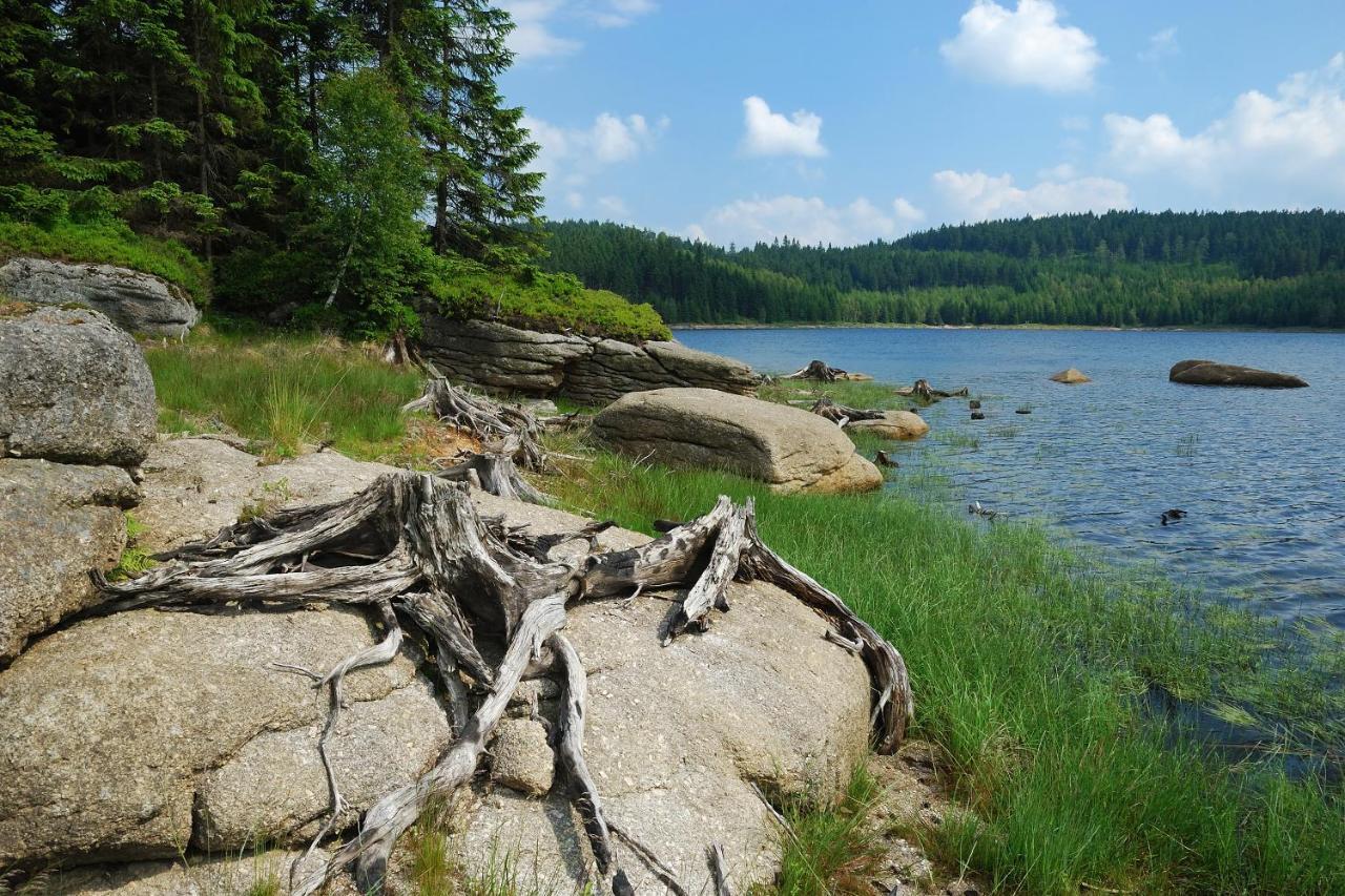 Penzion Zrzka Kořenov Esterno foto